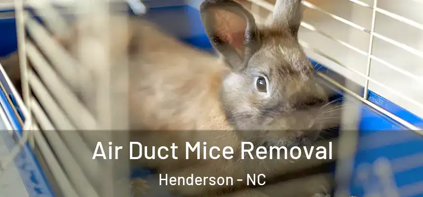 Air Duct Mice Removal Henderson - NC
