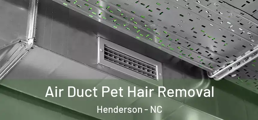 Air Duct Pet Hair Removal Henderson - NC