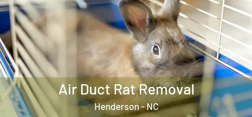 Air Duct Rat Removal Henderson - NC