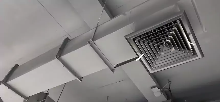 Our Pest Removal From Ducts Services in Henderson, NC