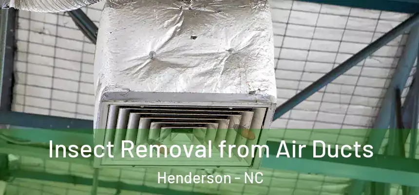 Insect Removal from Air Ducts Henderson - NC