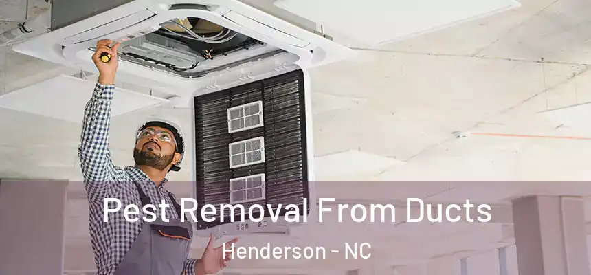  Pest Removal From Ducts Henderson - NC