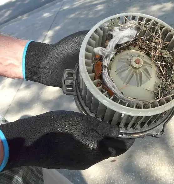 About Air Duct Mice Removal in Henderson, NC