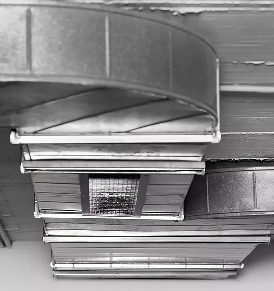 Professional Air Duct Pest Removal in Henderson, NC