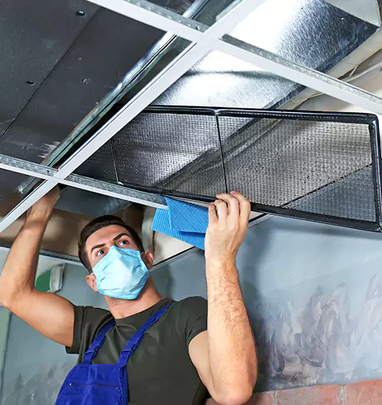Professional Air Duct Pollen Cleaning in Henderson, NC