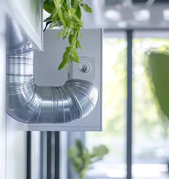 Professional Eco-Safe Dryer Vent Cleaning in Henderson, NC