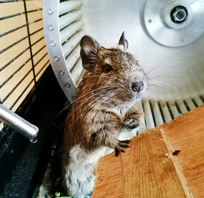 Why Homeowners & Businesses Trust Us Henderson, NC