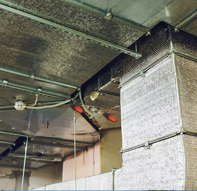 Why Homeowners & Businesses Trust Us Henderson, NC?